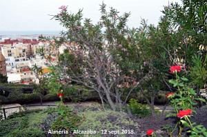 10 ALMERIA ALCAZABA 12 09 2018 (21)